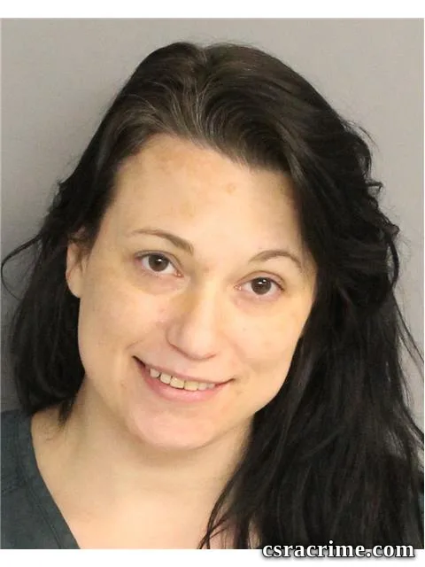 Nikki Price booking photo
