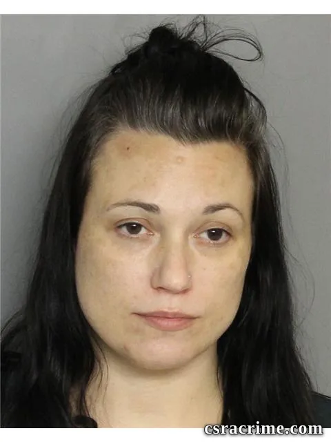 Nikki Price booking photo