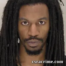 Nikki Thomas booking photo