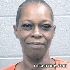Nikki Young booking photo
