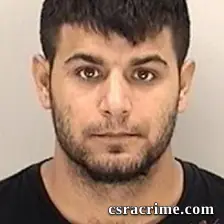 Ninel Ionita booking photo