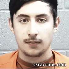 Noah Boswell booking photo