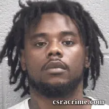 Norvette Lowery JR booking photo