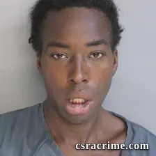 Nylasia Okezie booking photo