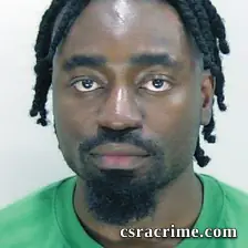 Obafemi Opaaje booking photo