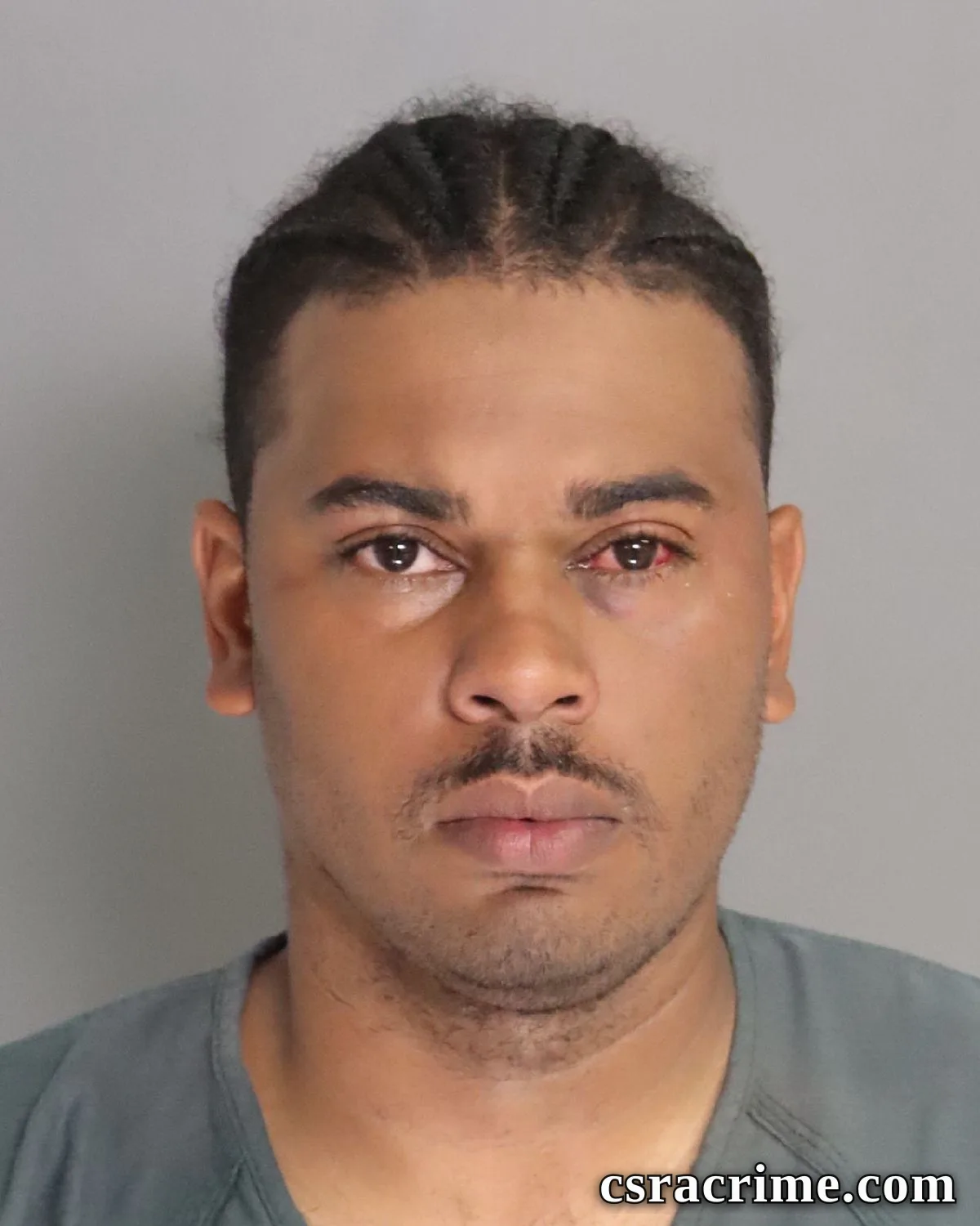 Olian Pollock booking photo