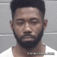 Orton Williams booking photo
