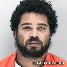Oscar Mcelroy JR booking photo