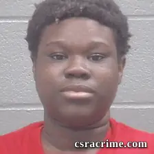 Paige Tate booking photo