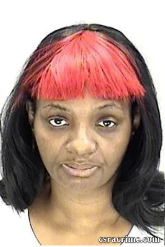 Pamela Brown booking photo