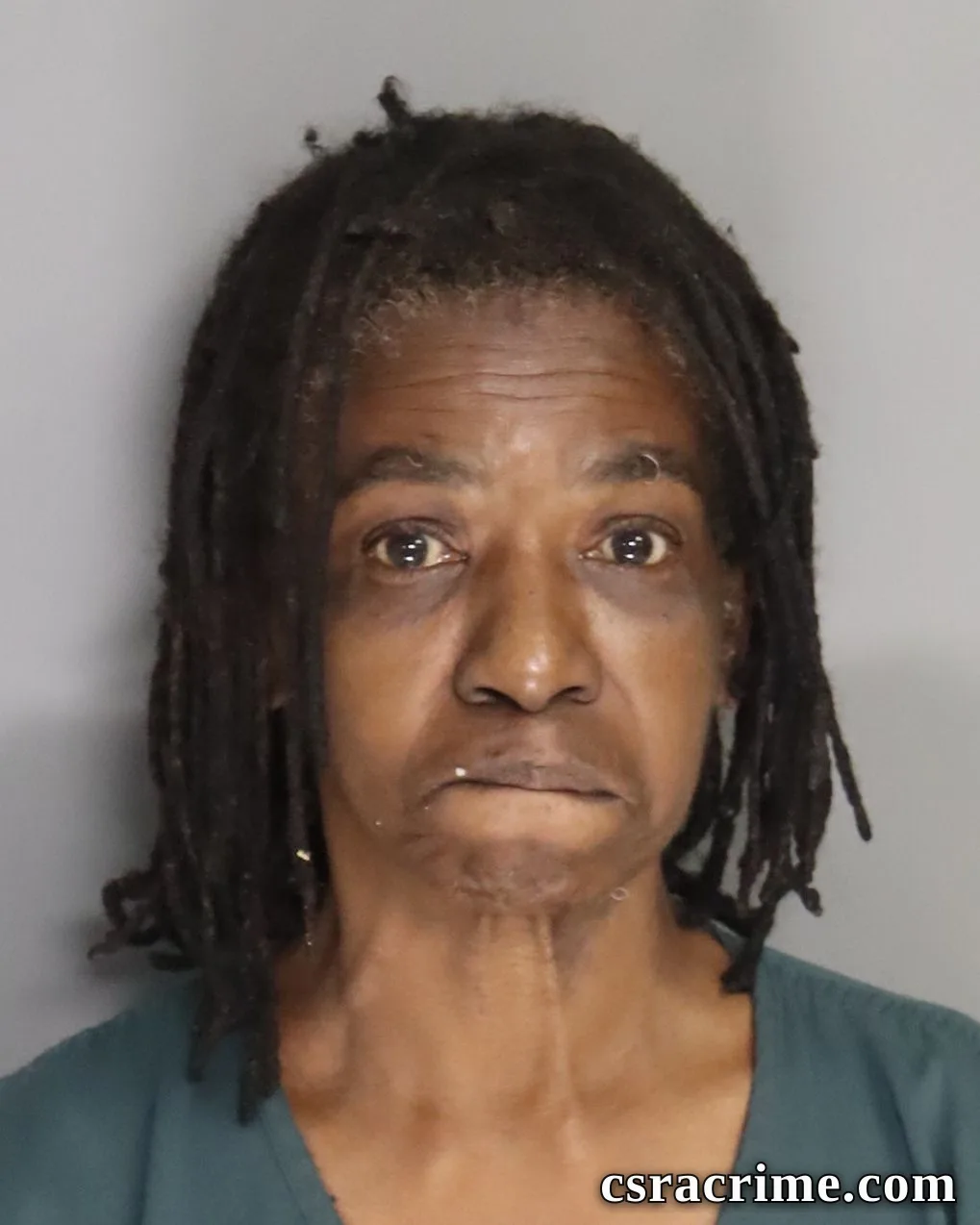 Pamela Brown booking photo