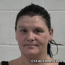 Pamela Darlene Howell booking photo