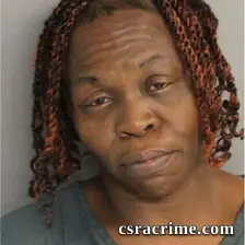 Pamela Hodge booking photo