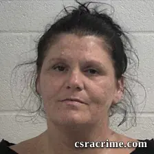 Pamela Howell booking photo