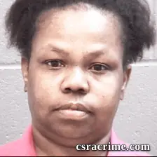 Pamela Johnson booking photo