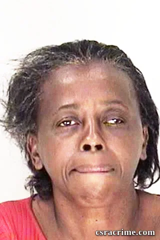 Pamela Norman booking photo