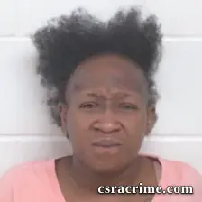 Pamela Renata Norman booking photo