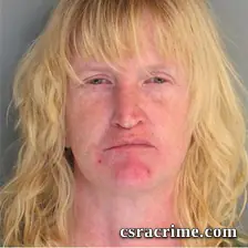 Pamela Turner booking photo