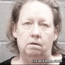 Pamela Viscarra booking photo