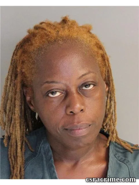 Pamela White booking photo