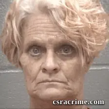 Pamula Susan Burke booking photo
