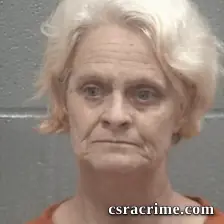 Pamula Susan Burke booking photo