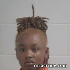Paris Blandeburs booking photo