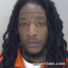 Paris Cheek booking photo