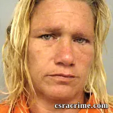 Patricia Nicole Morris booking photo