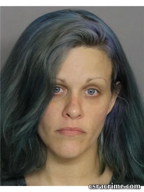 Patricia Ross booking photo