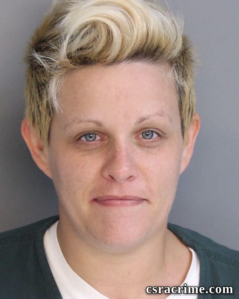 Patricia Ross booking photo