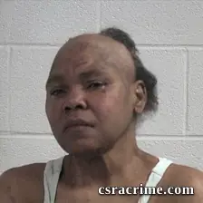 Patricia Wilson booking photo