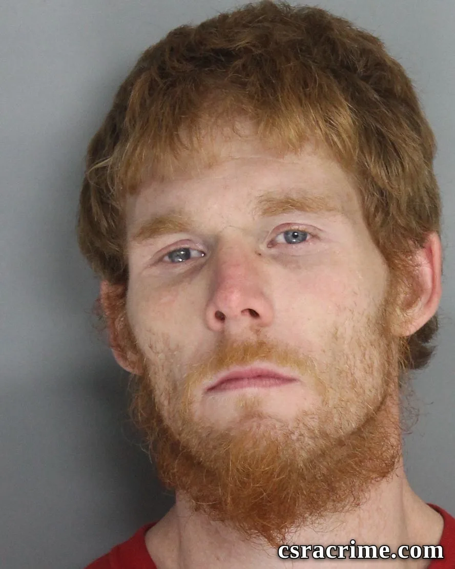 Patrick Lively booking photo
