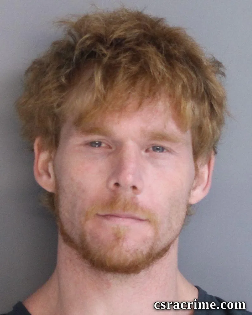 Patrick Lively booking photo