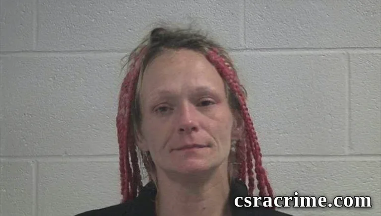 Patty Nicole Hinman booking photo