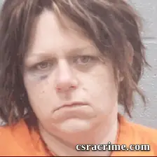 Paula Burkhalter booking photo