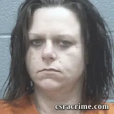 Paula Burkhalter booking photo