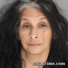 Paula Krause booking photo
