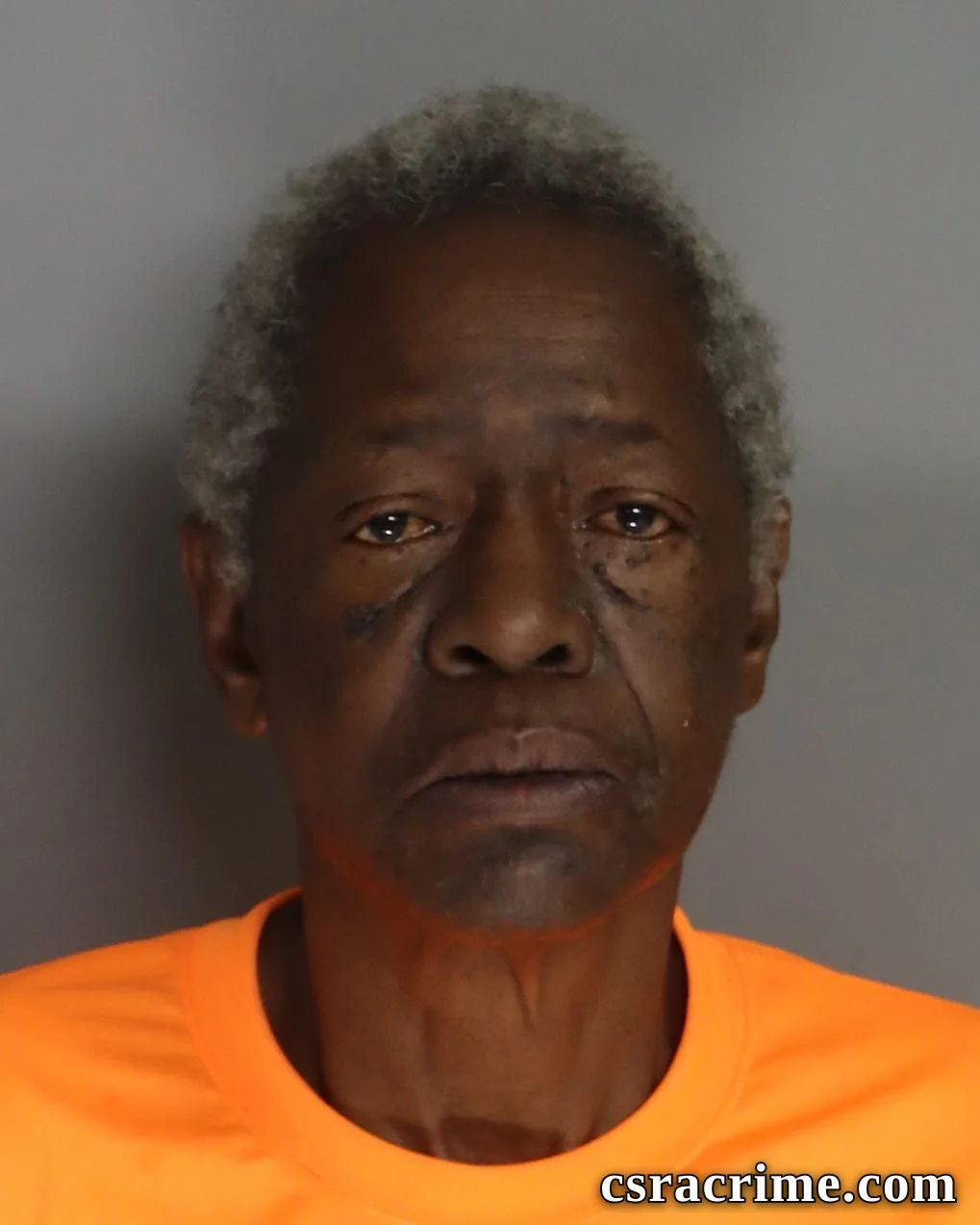 Pauline Williams booking photo