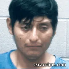 Pedro Gomez-Gomez booking photo