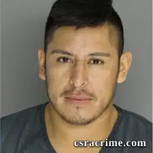 Pedro Trejo Mejia booking photo