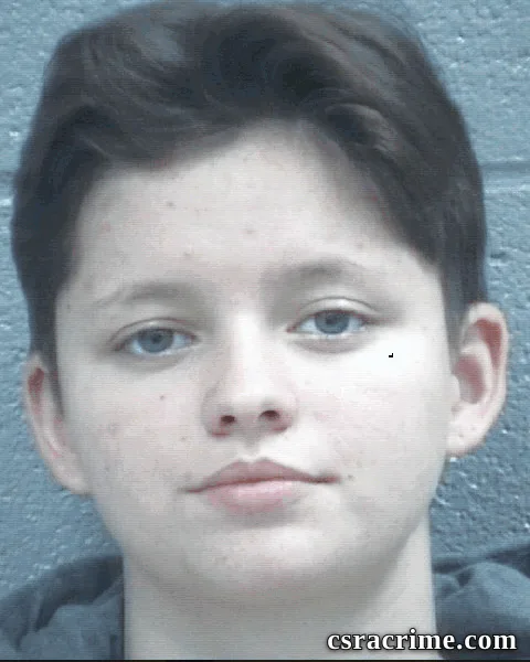Penelope Wilson booking photo