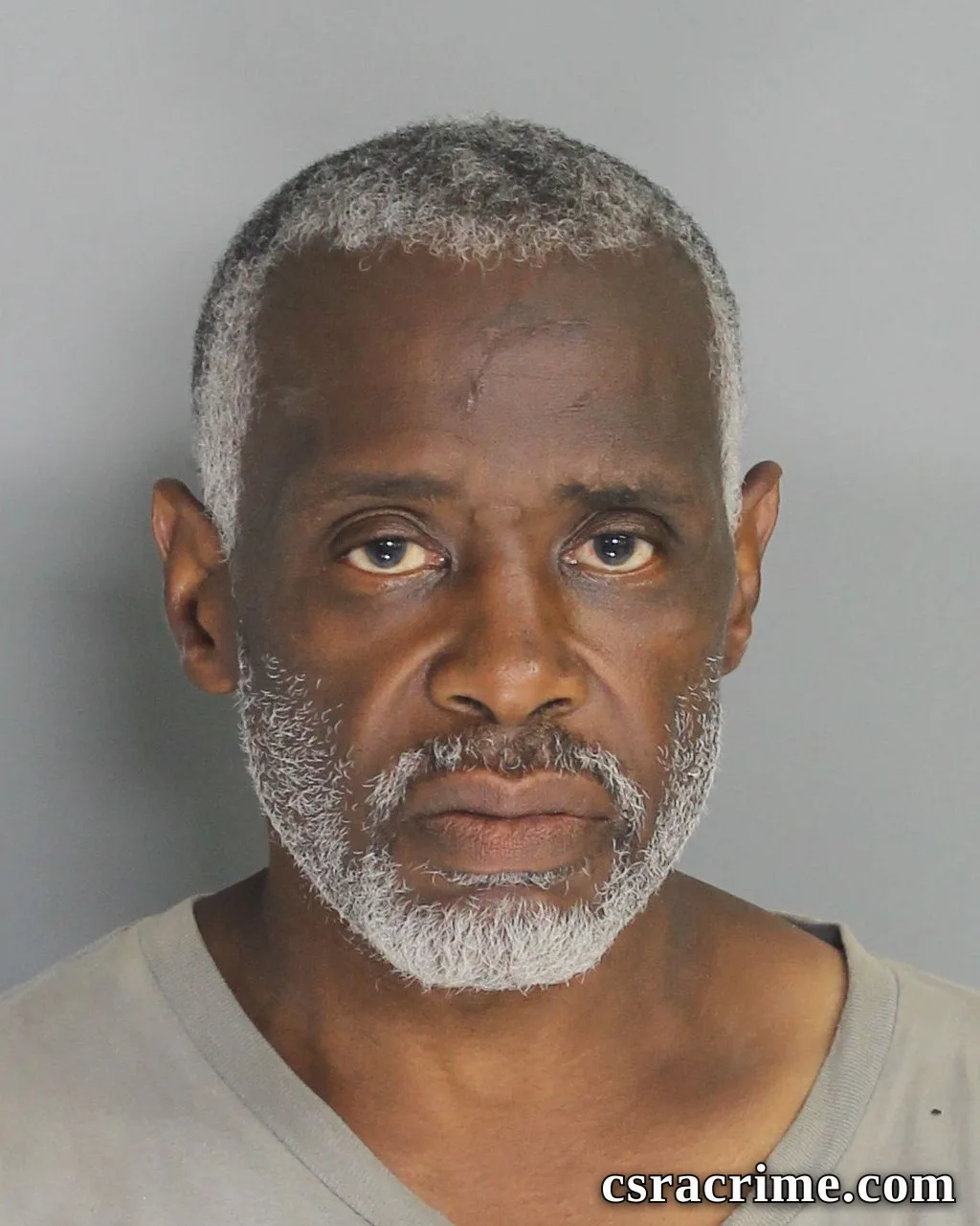 Perez Mims booking photo
