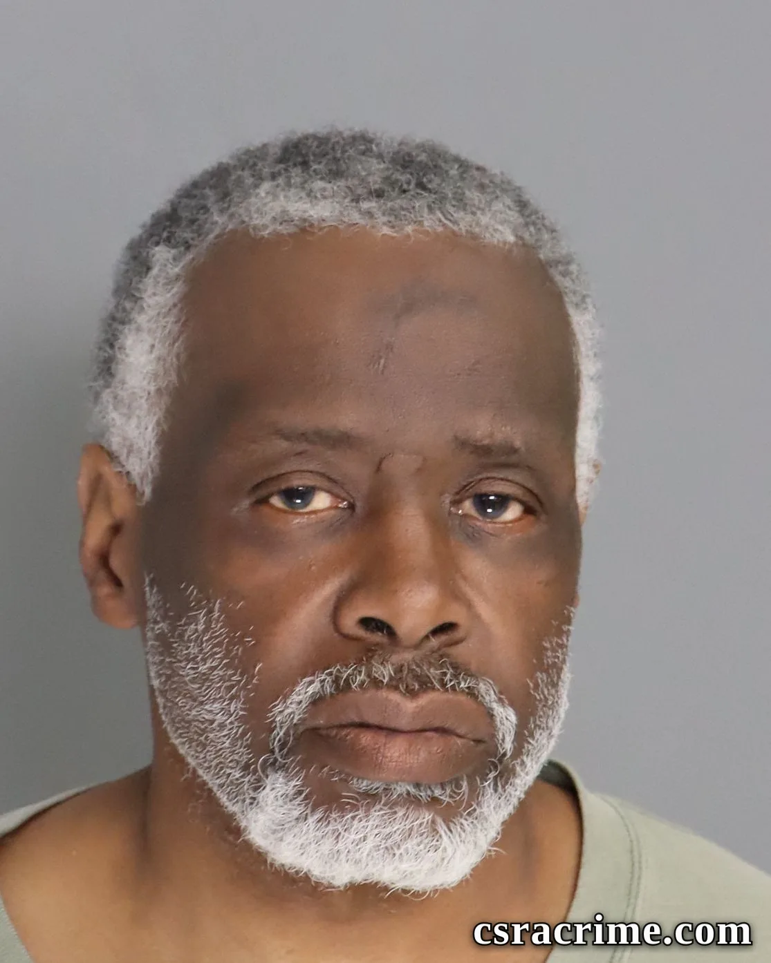 Perez Mims booking photo