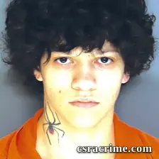 Phylena Mccormick booking photo