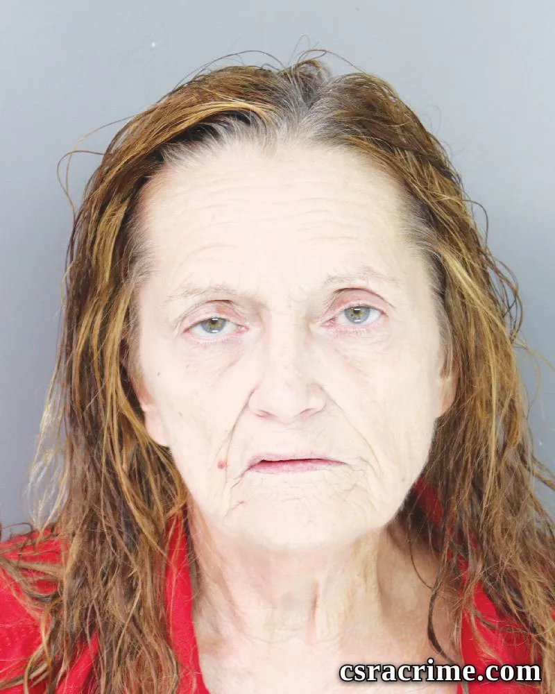 Phylis Smith booking photo