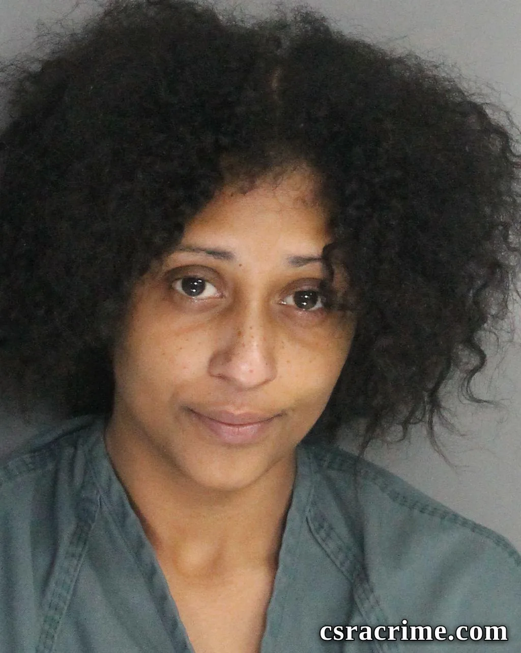 Porsha Hunter booking photo