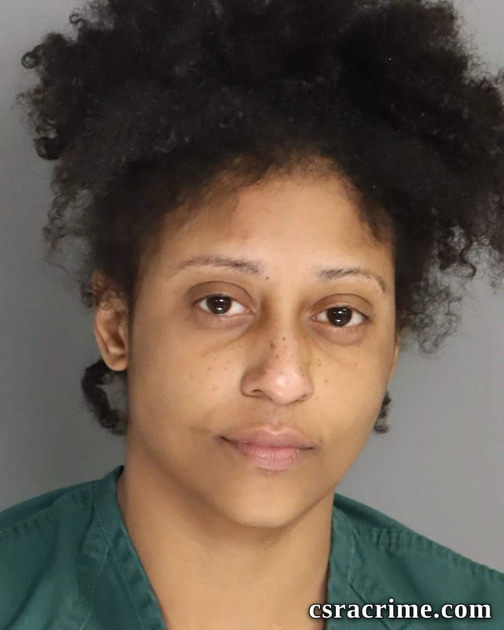 Porsha Hunter booking photo