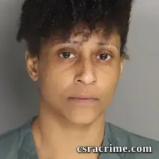 Porsha Hunter booking photo