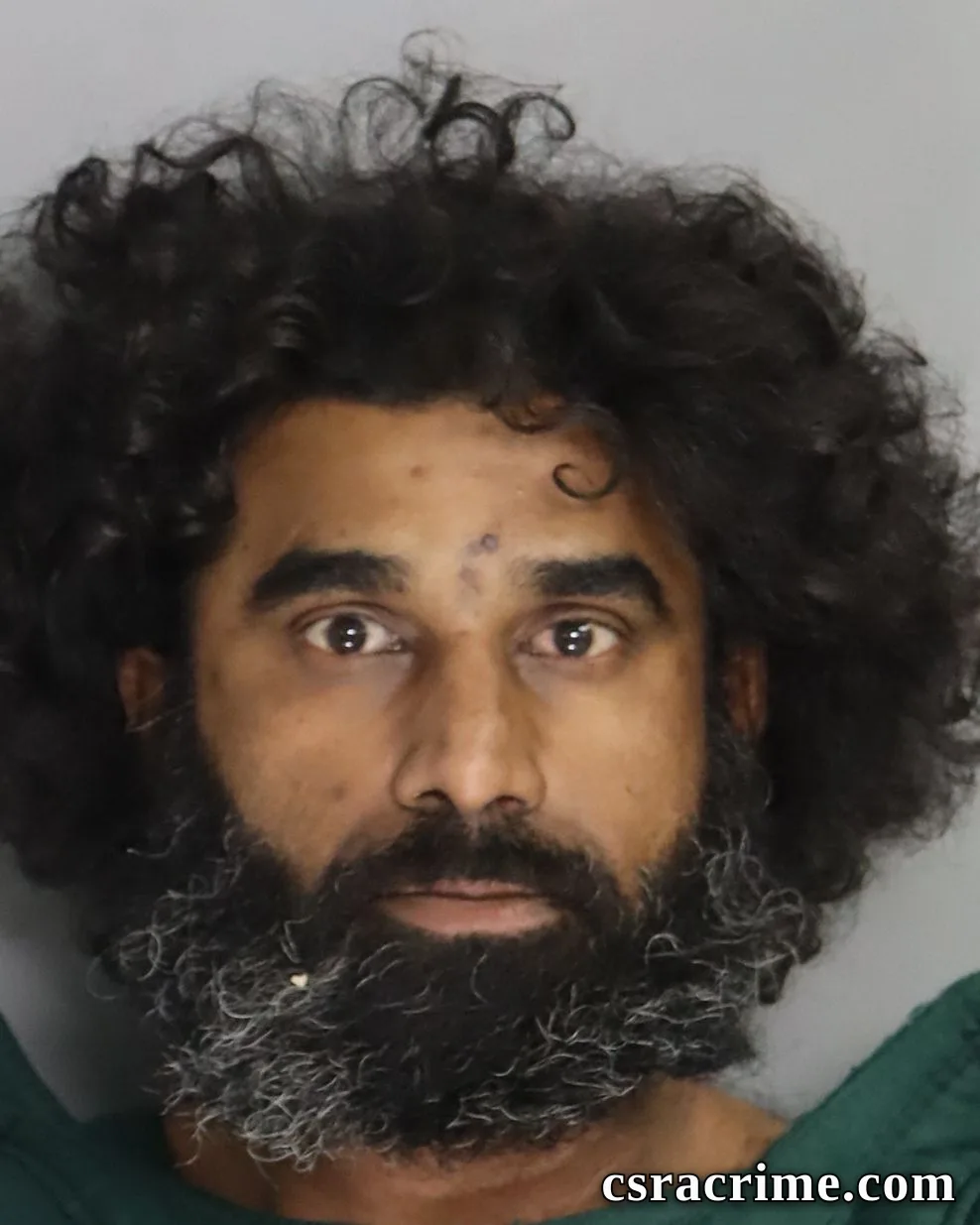 Pravin Raman booking photo